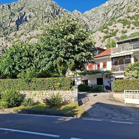 Apartment Cizek Kotor Ngoại thất bức ảnh