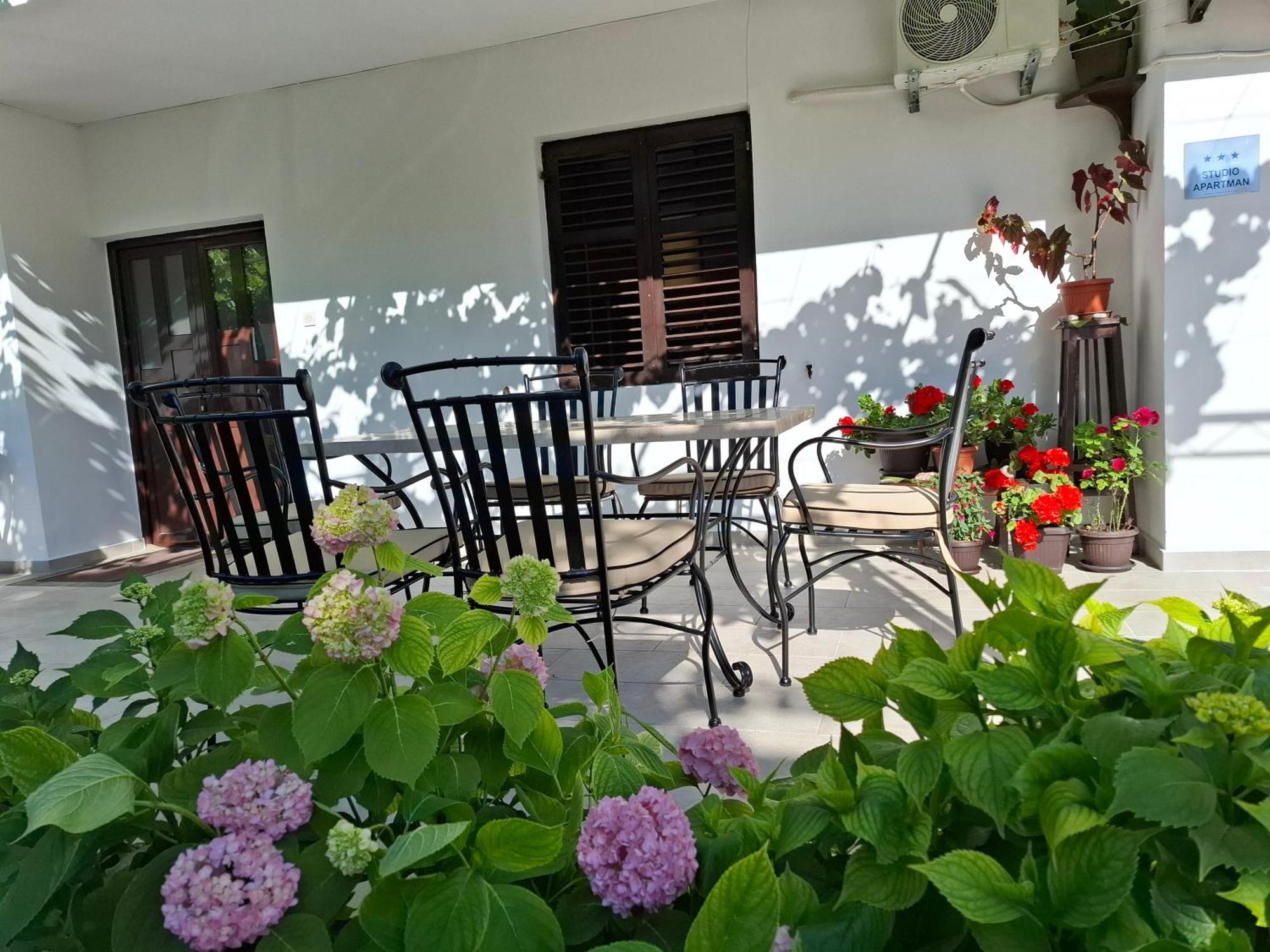 Apartment Cizek Kotor Ngoại thất bức ảnh